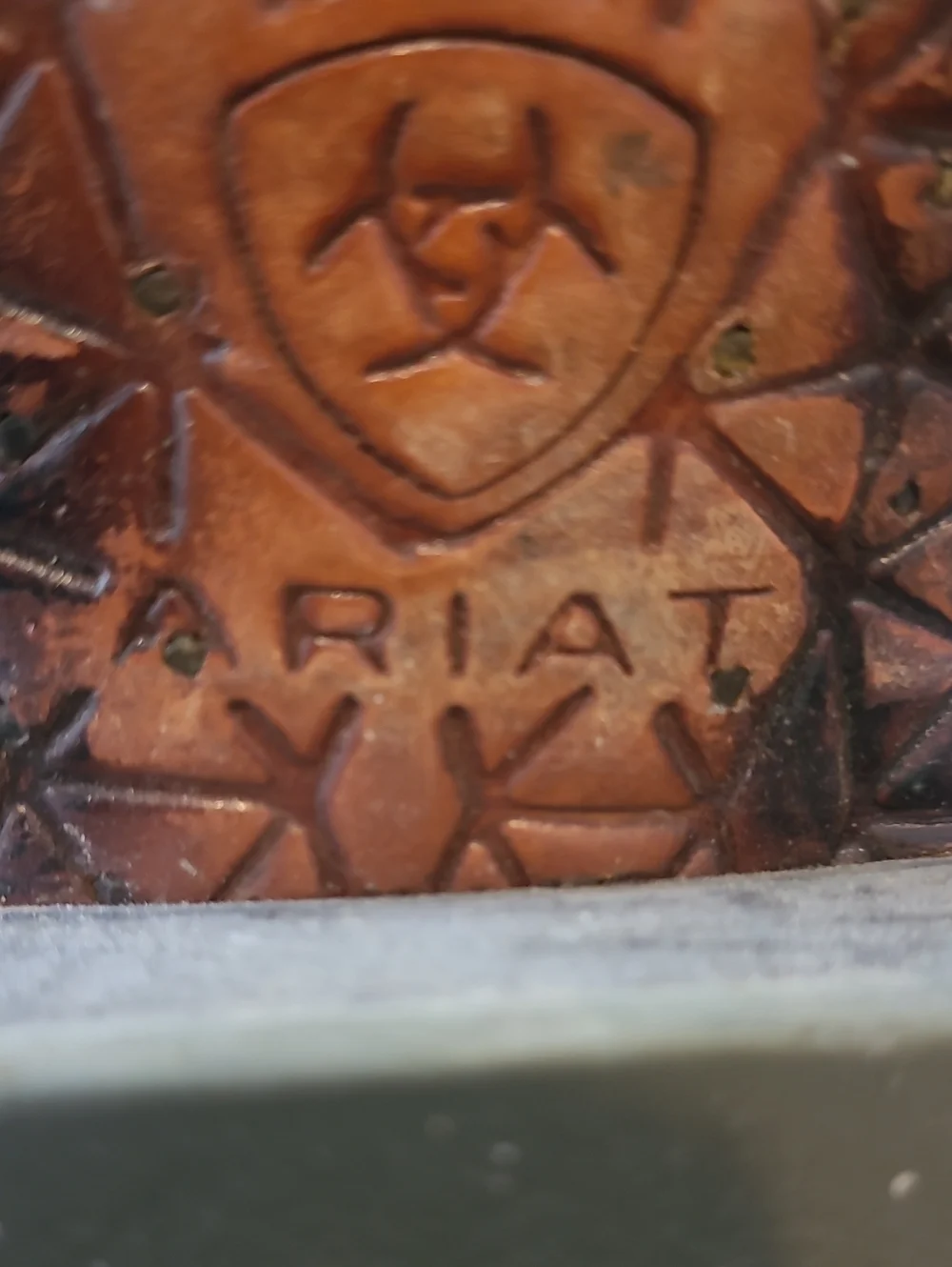 Ariat classic brown